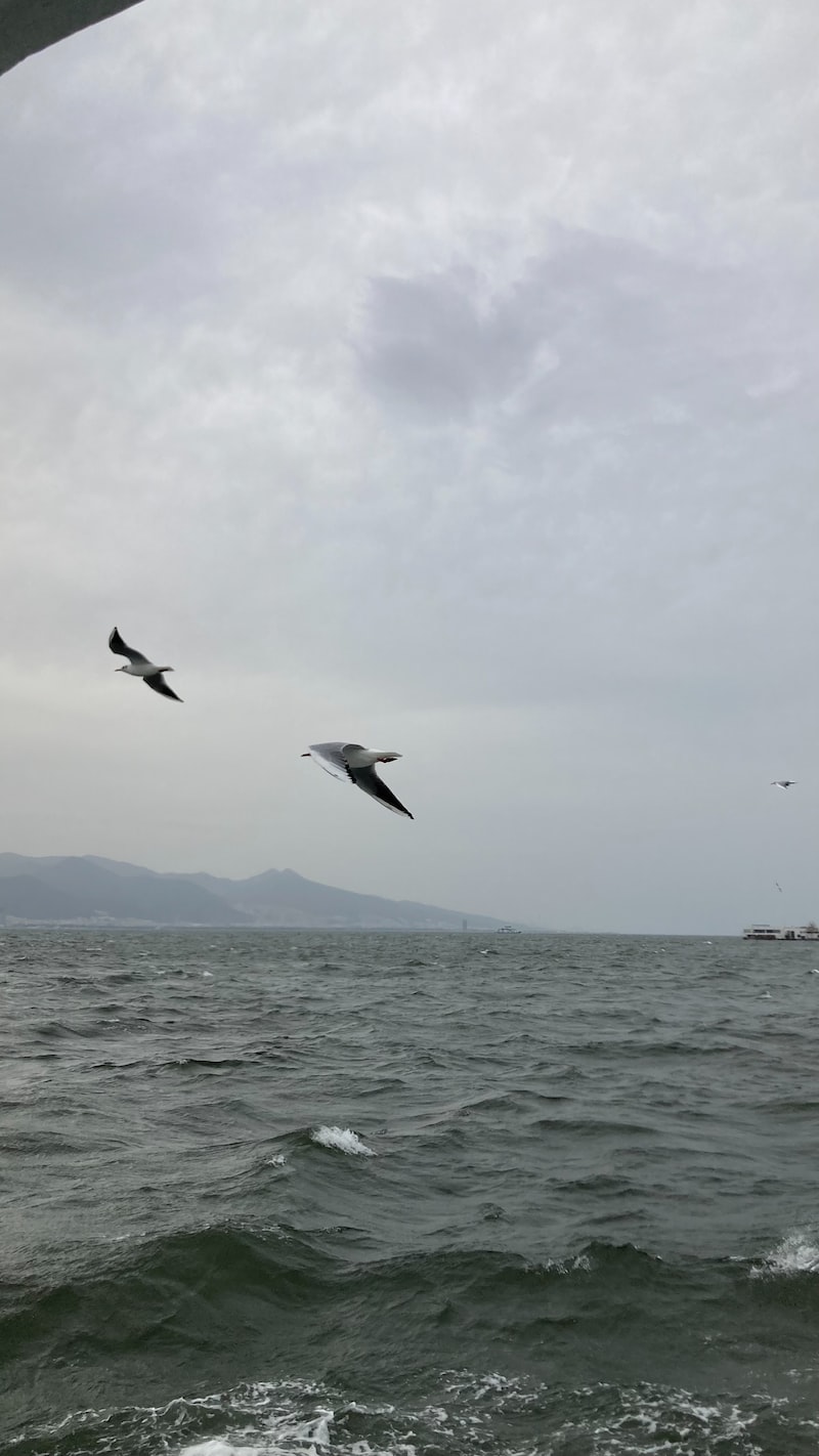 Konak Askeri İşbirliği Konak Askeri İşbirliği