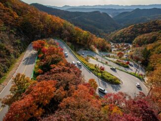 Konaklı’da Trafik Düzenlemeleri ve Yeni Uygulamalar